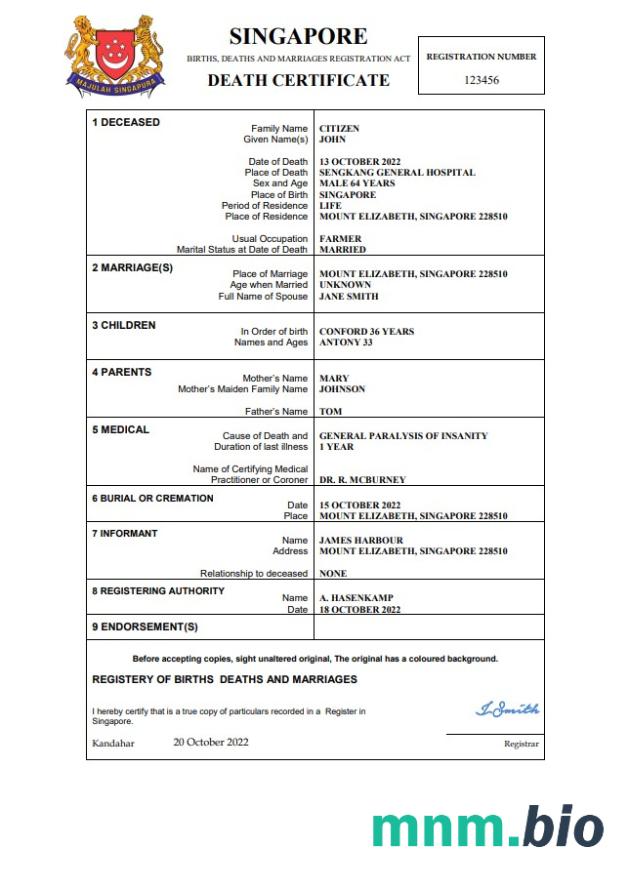 Singapore rekord życiowy śmierć certyfikat Word i PDF szablon